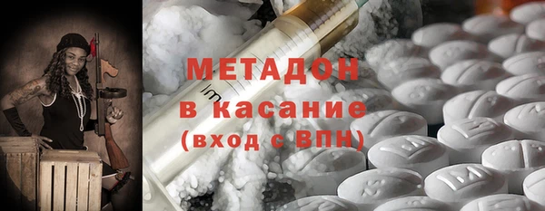 прущие грибы Горно-Алтайск