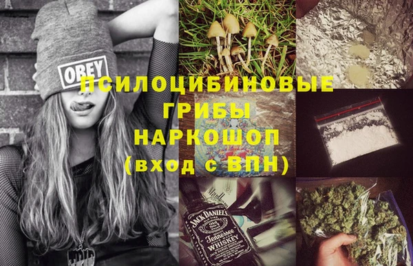 прущая мука Вязьма
