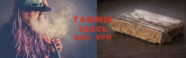 прущие грибы Горно-Алтайск