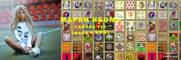 прущие грибы Горно-Алтайск