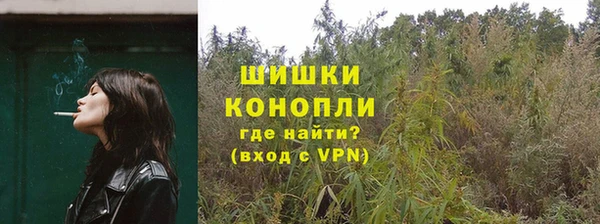 прущие грибы Горно-Алтайск