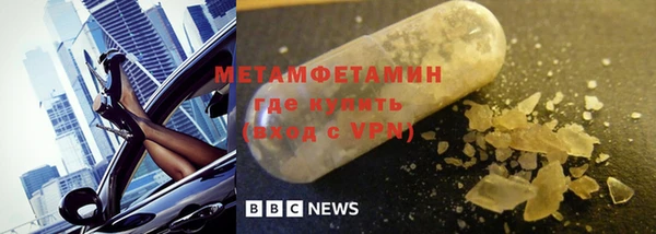 прущие грибы Горно-Алтайск