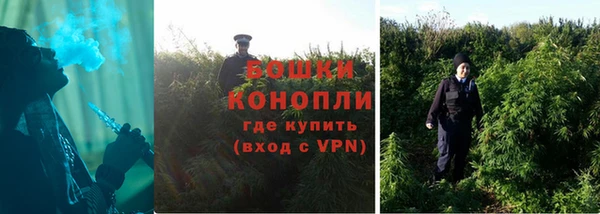 винт Вяземский