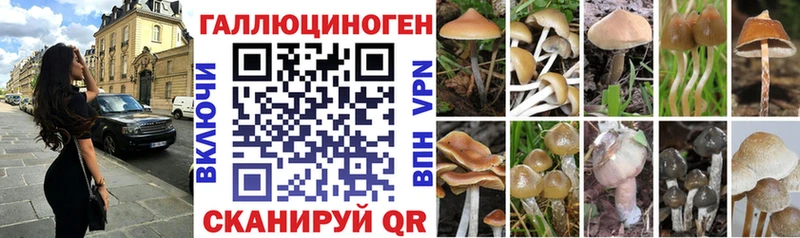 купить наркотики цена  Каневская  KRAKEN маркетплейс  Галлюциногенные грибы Cubensis 