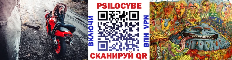 Псилоцибиновые грибы мицелий Каневская