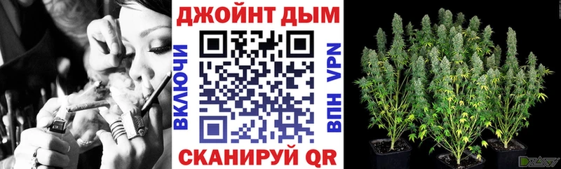 Конопля марихуана  Каневская 